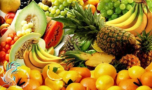 D&ugrave;ng thuốc nhuận tr&agrave;ng thế n&agrave;o?