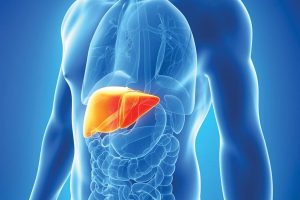 Đường đi của thuốc trong cơ thể như thế nào?