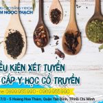 Điều kiện xét tuyển Trung cấp Y học cổ truyền TPHCM năm 2026