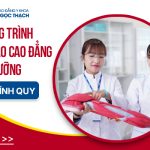 Chương trình đào tạo Cao đẳng Điều dưỡng Chính Quy 2026
