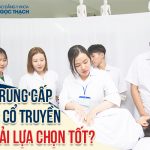 Có nên học Trung cấp Y học cổ truyền hay không? Giải đáp chi tiết