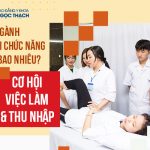 Phục hồi chức năng lương bao nhiêu? Cơ hội việc làm và thu nhập