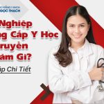 Trung cấp Y học cổ truyền: Ra trường làm gì, có dễ xin việc không?